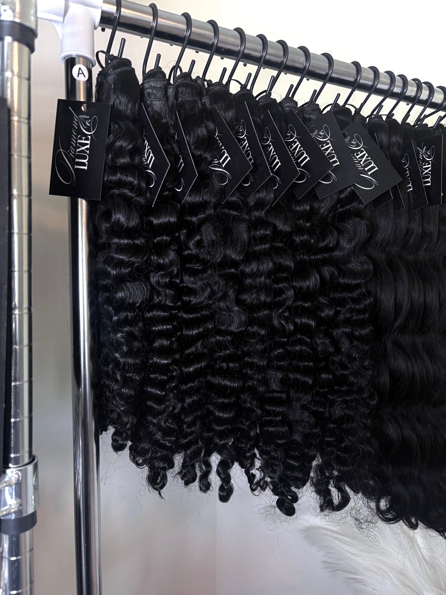 Burmese Curly -3 Bundle Set
